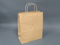 Bag/Twist Handle no4 lge Brown 12x17x16