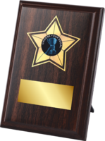 15cm Star Plaque