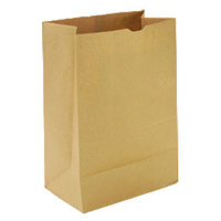Paper Bag (Kraft/Brown Bag)-(500x21x19")"