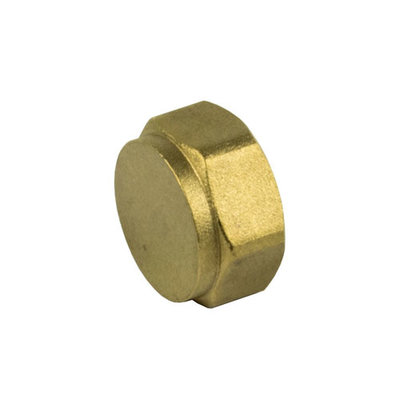 1" Brass Blanking Cap