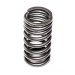VALVE SPRING