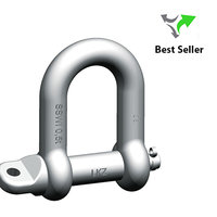 Pewag Safety Shackle SSWI | Stainless Steel