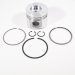 PISTON BODY C/W CLIPS