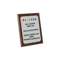 15cm Printed Plaque (?? Wood) (?? Metal)