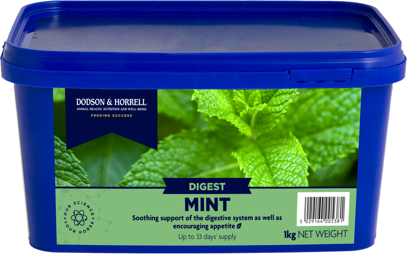 Dodson & Horrell Mint Tub 1kg