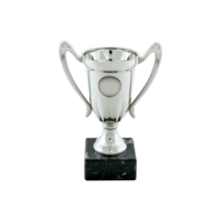 14cm Plastic Silver Cup to suit Centre