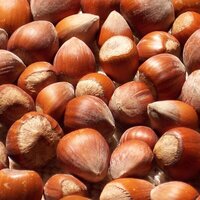 a close up of shiny and skin roasted whole hazelnuts