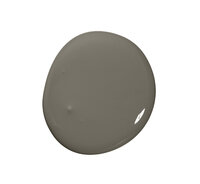 Colourtrend Burrowing Soft Sheen Colour Swatch