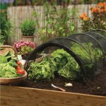 Net Grow Tunnel
