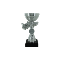 17cm Boot & Metal Bowl Trophy (V202S)
