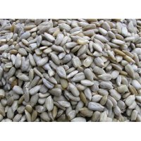Sunflower Hearts 20kg [Zero VAT]
