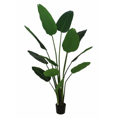 Artificial Strelitzia Plant - H185cm