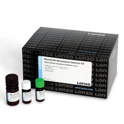 Mycoplasma Detection Kit
