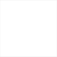 Ralston White Aqua All Primer Colour Swatch