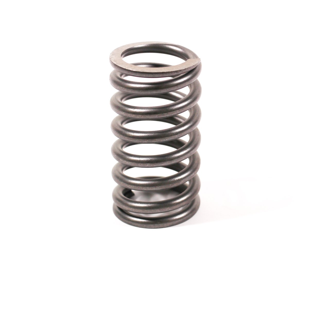 VALVE SPRING
