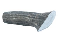 Wild Antler Co. Deer Antler - Small x 1