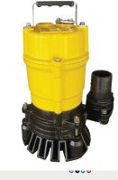 PREDATOR PSP400-1 2" SUB Water PUMP 220V AUTO