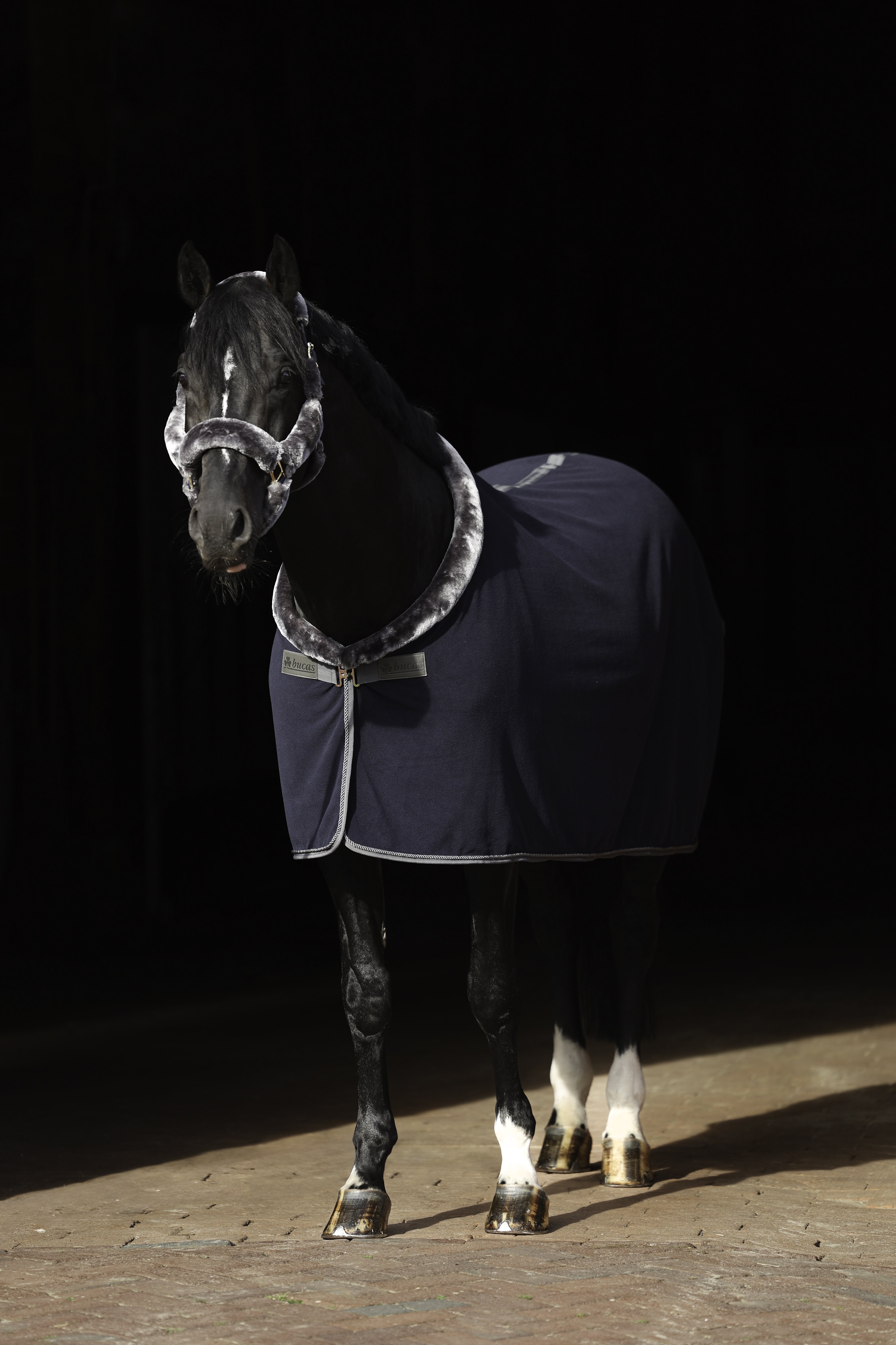 Show-Line Fleece 400 155 Navy/Gr