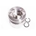 PISTON BODY C/W CLIPS