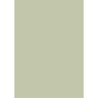 Farrow & Ball Vert De Terre Colour Swatch