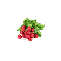 Radish (Bag) Bunch