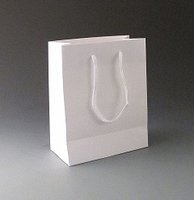 Medium White luxury gift bag
