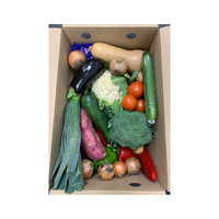Large Seasonal Vegetable Box