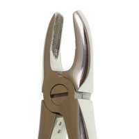 Perfection Plus Upper Forceps No.1 - DMI Dental Consumables Ireland - Next Day Delivery