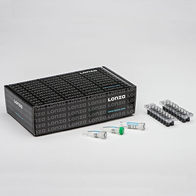 Cell Line Kit SE, 4D-Nucleofector X Kit, 32 reactions, 16-well Nucleocuvette Strips