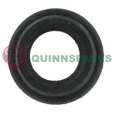 Thermostat Seal Hoover        