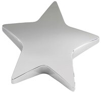 9cm Star Paper Weight (Silver)
