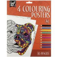 A4 Colouring Poster 4 Sheet with Pencils - Animals