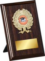 15cm Walnut Plaque Gold Trim