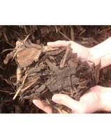 ORNAMENTAL BED N BORDER BARK BULK BAG