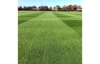 FR.4 - +PRO TETRAPLOID/DIPLOID GRASS SEED MIX