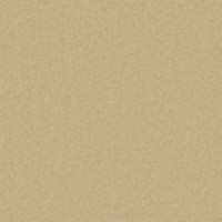 PEMBROKE CAMEL 5m