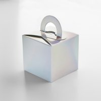 Iridescent Balloon Weight Box - Pack of 5