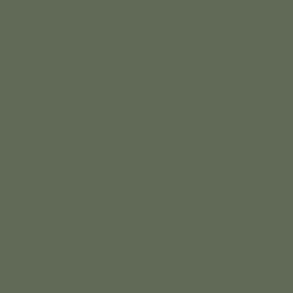 Sage Green - RM20
