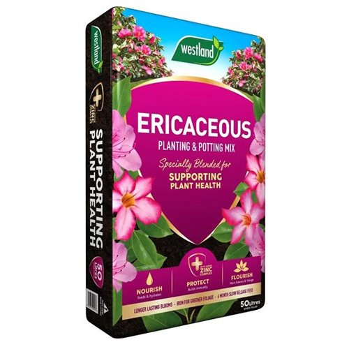 Westland Ericaceous Compost 50L