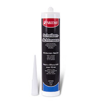Windscreen Sealant