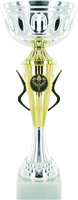 28cm Gold & Silver Cup Trophy (Boxed) | TC78
