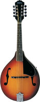 Washburn Bluegrass M1S