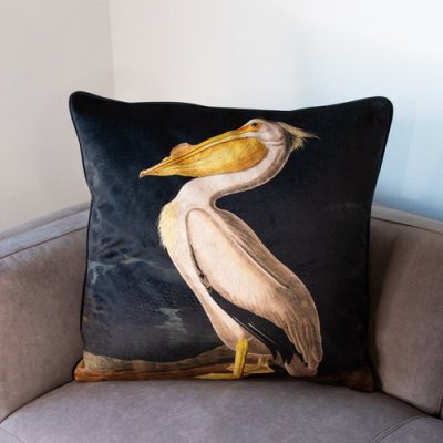 White Pelican Velvet Feather Filled Cushion - 60 x 60