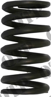 Valve Spring