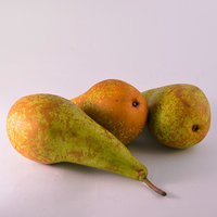 Conference Pears 55/60