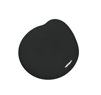 Colourtrend Black Colour Swatch