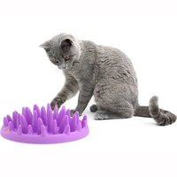 Company of Animals Catch Interactive Cat Feeder x 1