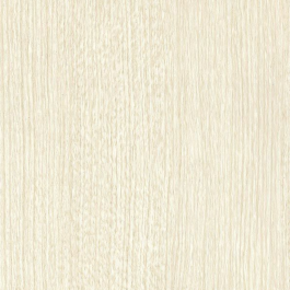 White Sycamore - NF64
