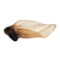 NAW Buffalo Ears Large with Meat x 50