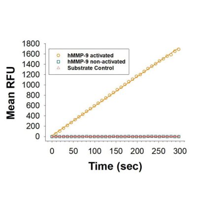 Protein, Recombinant Human MMP-9 Protein, CF, 10 &micro;g